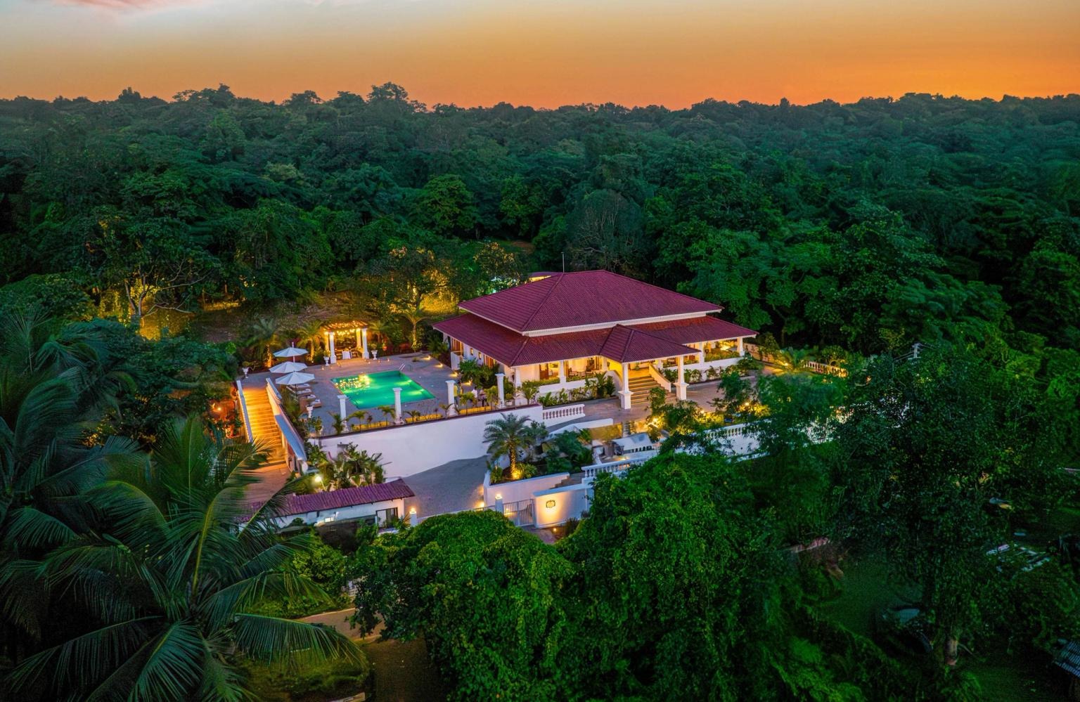 PALMEIRA DE SOCORRO GOA
